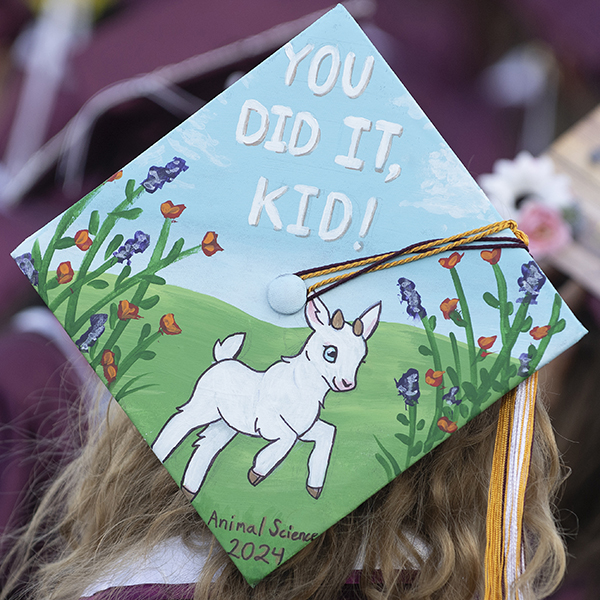 Photo of a graduate with a decorated grad cap.